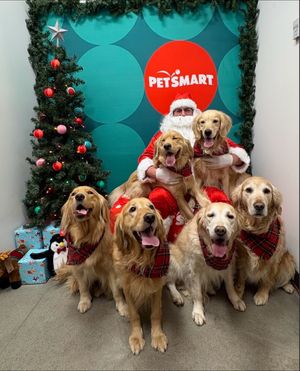 Video post by @petsmart on TikTok