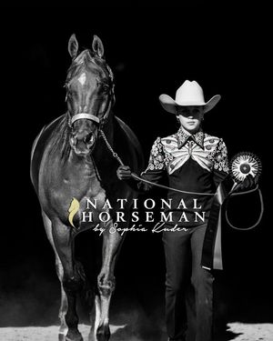 Image post by @national_horseman_arabian on Instagram