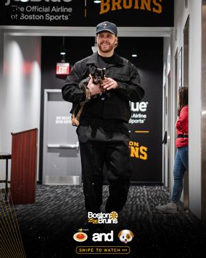 Image post by @nhlbruins on Instagram