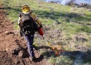 Image post by @calfire on Instagram