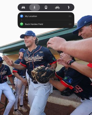 Image post by @ilmsharks on Instagram