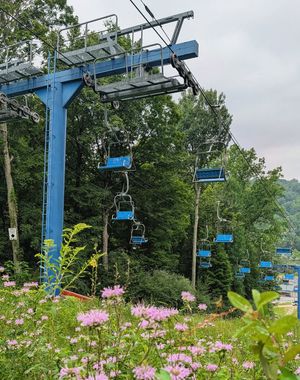 Image post by @shawneemountain on Instagram