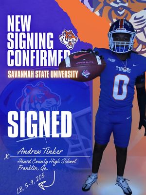 Image post by @savstatetigers on Instagram