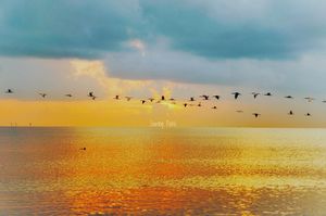 Image post by @soaringpixels on Instagram