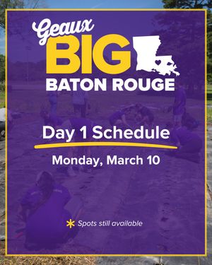 Image post by @lsucampuslife on Instagram