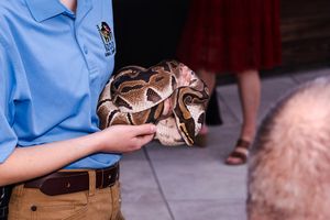 Image post by @bhamzoo on Instagram