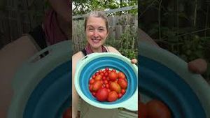 Video post by @annathearcher on YouTube