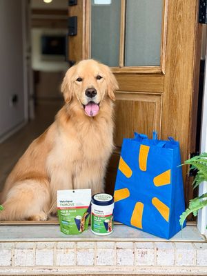 Image post by @pearl.the.golden.girl on Instagram