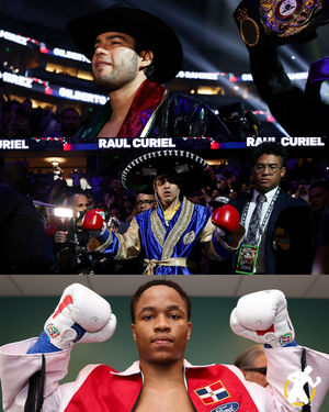 Image post by @goldenboy on Instagram