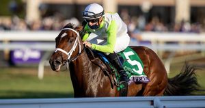 Image post by @breederscup on Instagram