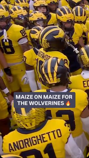 Video post by @nbcsports on Instagram
