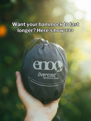 Image post by @enohammocks on Instagram