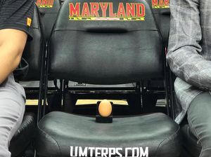 Image post by @marylandterrapins on Instagram