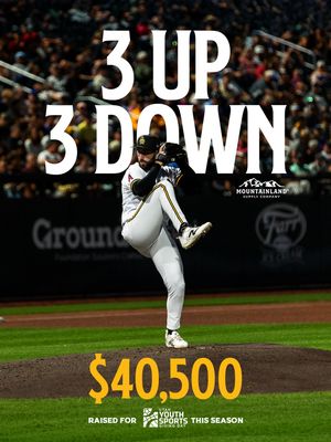 Image post by @saltlakebees on Instagram