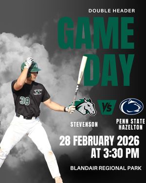 Image post by @stevensonbsb on Instagram