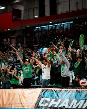 Image post by @hawaiiathletics on Instagram