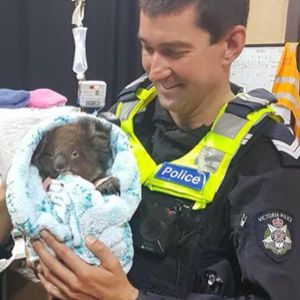 Image post by @victoriapolice on Instagram
