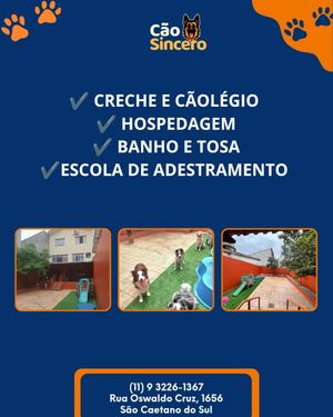 Image post by @adestradores.caosincero on Instagram