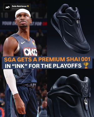 Image post by @soleretriever on Instagram