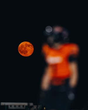 Image post by @elisachavezphotography on Instagram