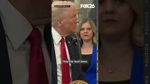Video post by @kmphfox26 on YouTube