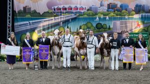 Image post by @wdexpo on Instagram