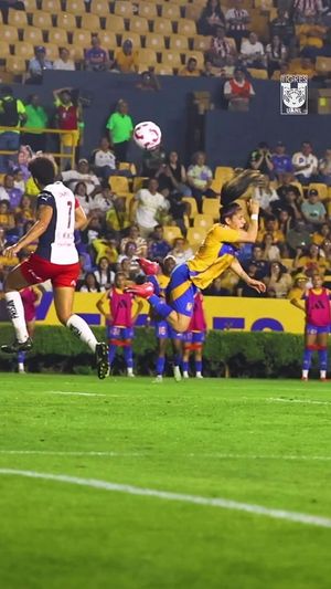 Video post by @clubtigresfemenil on TikTok