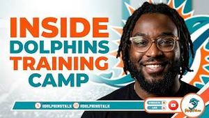 Video post by @dolphinstalk on YouTube