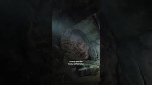 Video post by @hbo on YouTube