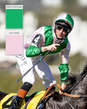 Image post by @breederscup on Instagram