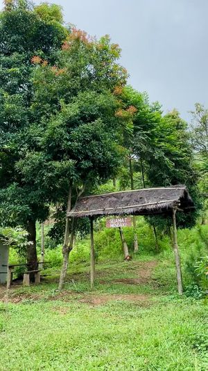 Video post by @mutiaraaft on TikTok