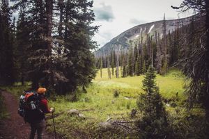 Image post by @michael_edson on Instagram