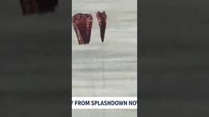 Video post by @firstcoastnews on YouTube