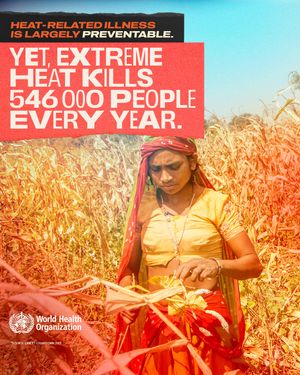 Image post by @who on Instagram