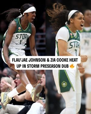 Image post by @wnba on Instagram