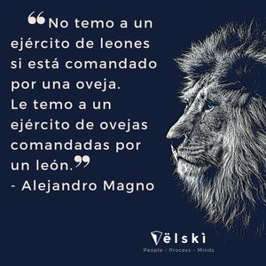 Image post by @mariovelski on Instagram