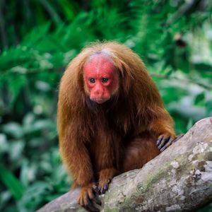 Image post by @discovery on Instagram