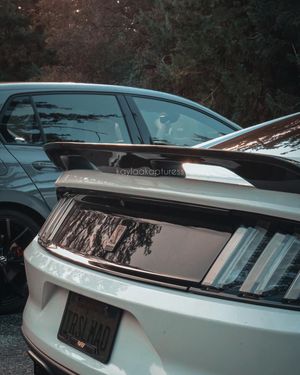 Image post by @kaylaakapturess on Instagram