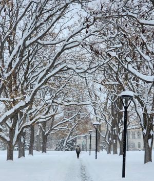 Image post by @universityofutah on Instagram