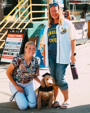 Image post by @honeybeessoftball on Instagram