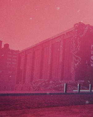 Image post by @andytorres_a on Instagram