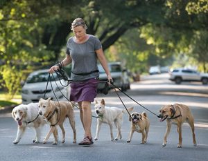 Image post by @statesman on Instagram