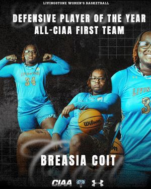 Image post by @bluebearathletics on Instagram