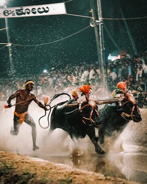 Image post by @traveluvgrapher on Instagram