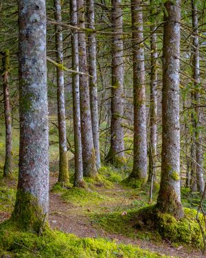 Image post by @cristan.nature.photography on Instagram