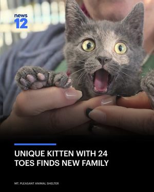 Image post by @news12nj on Instagram
