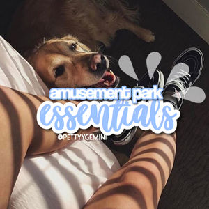 Image post by @scftcorgi on Instagram