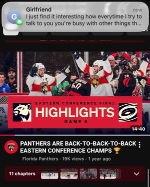 Image post by @flapanthers on Instagram