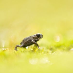 Image post by @rspb on Instagram