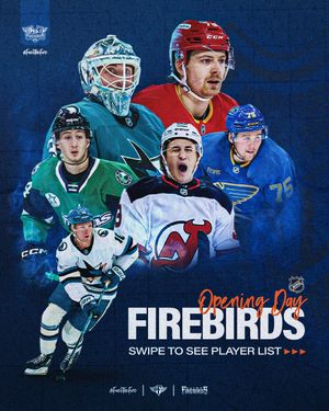 Image post by @flintfirebirds on Instagram